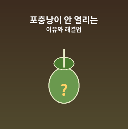 포충낭안열릴때해법