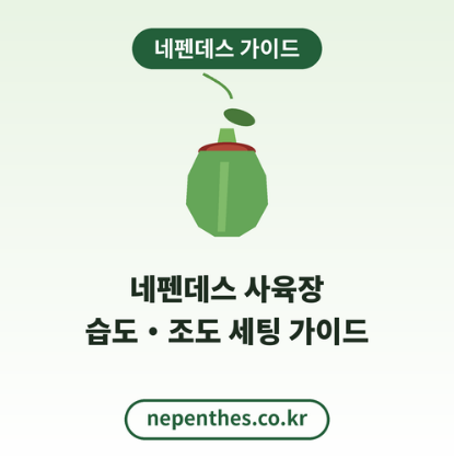 네펜데스사육장만드는법