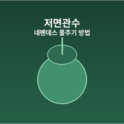 네펜데스물주기방법