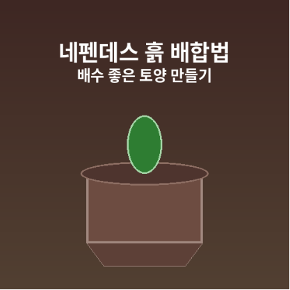 네펜데스키우기(흙토양법)