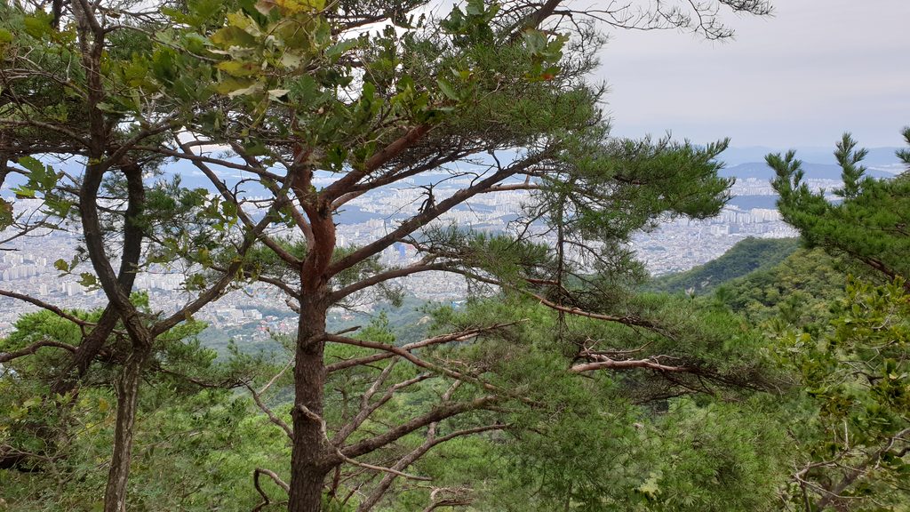 baegundae peak trail