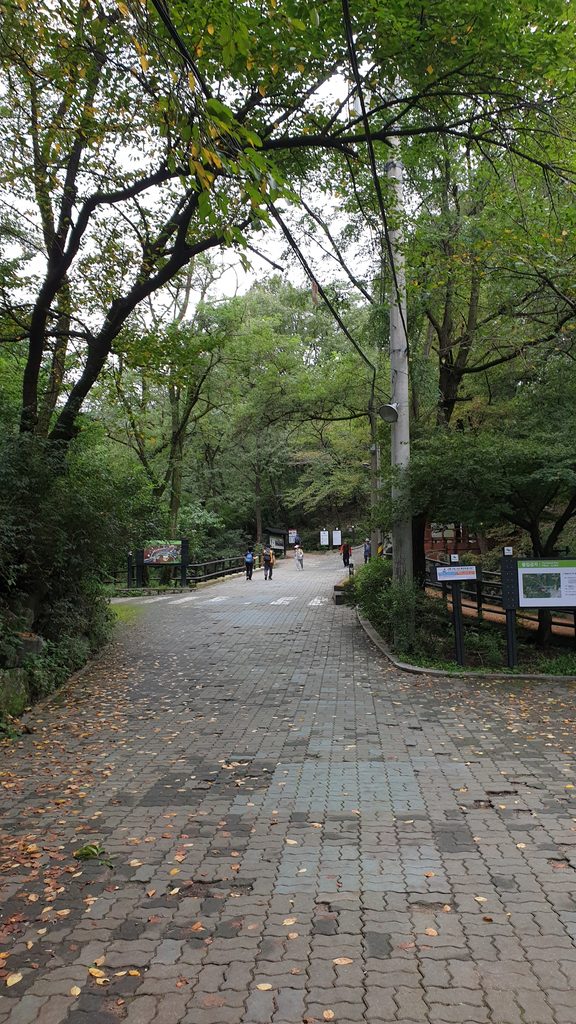 baegundae peak trail